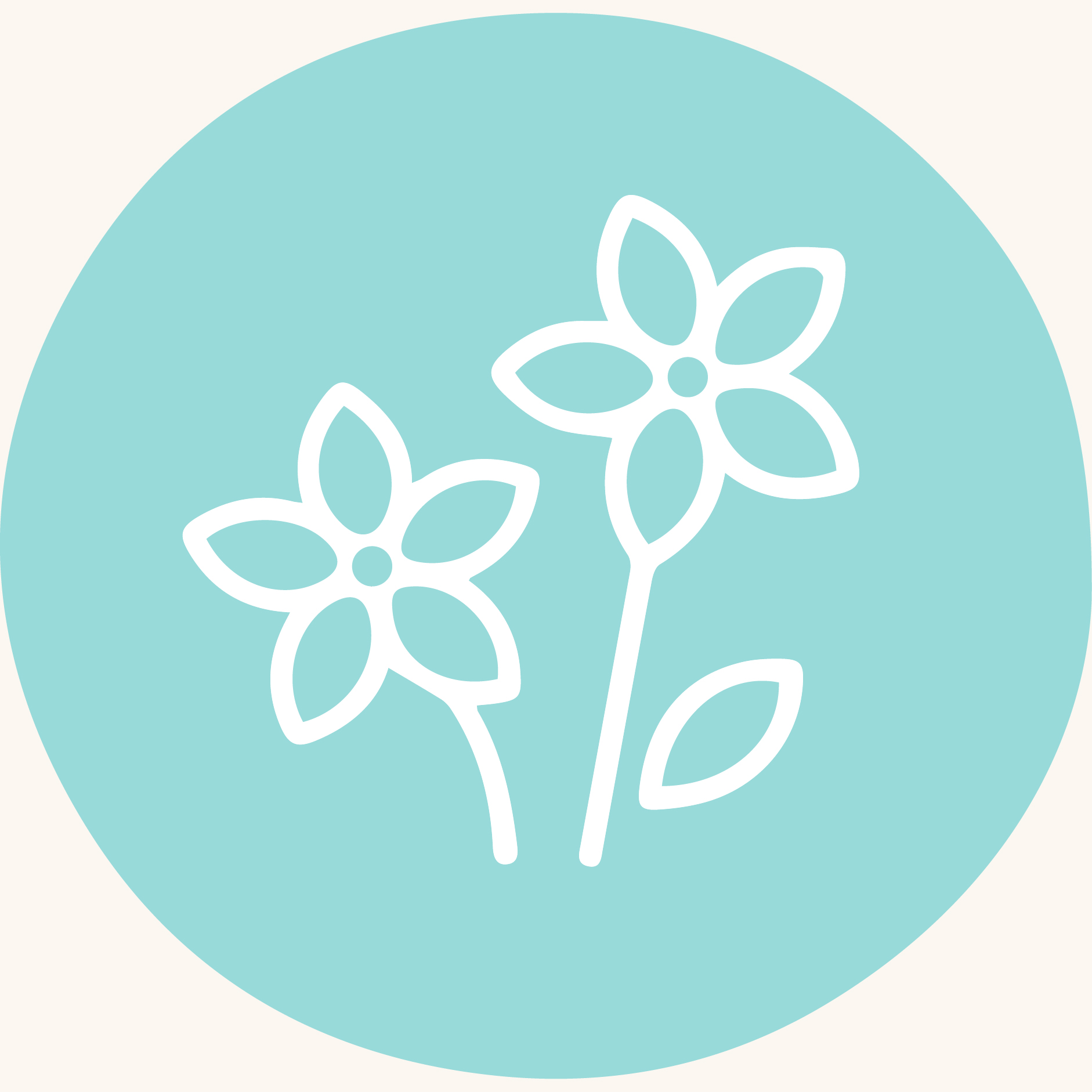 pagina web_boticalmewady-18